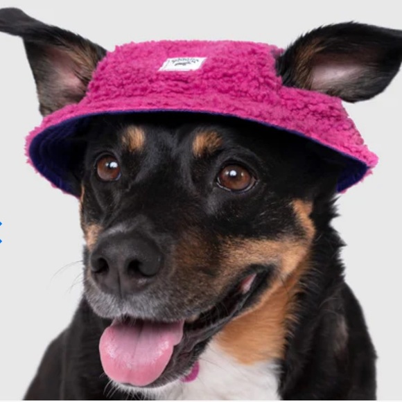⭐️HOST PICK⭐️ Canada Pooch Pink Cool Factor Bucket Hat| Small - Picture 6 of 8